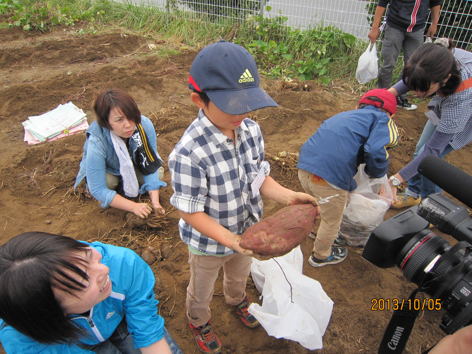 深めよう親子の絆　親子で野菜を育てよう　第１回「苗植え」第２回「収穫祭」の様子